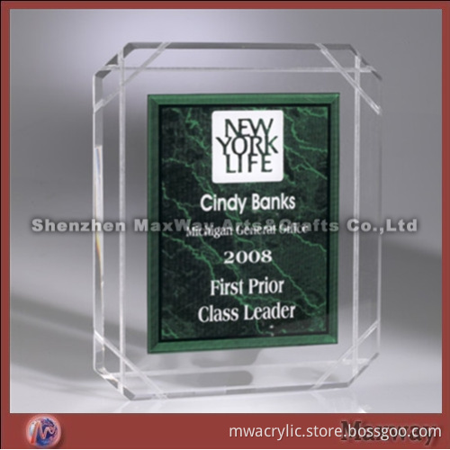Elegant Polished Clear Acrylic/Lucite Award/Letterweight/Gift with Your Logo